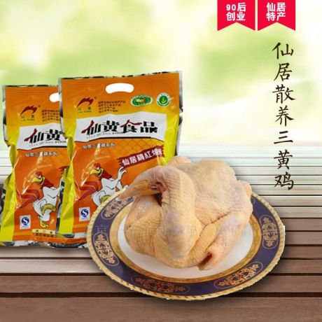土鸡肉仙居仙黄三黄鸡国家无公害农产品500克原汁味